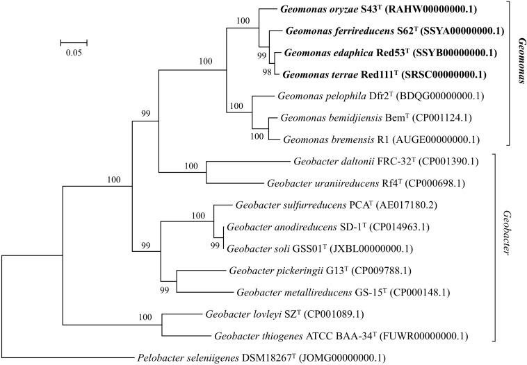 https://cdn.ncbi.nlm.nih.gov/pmc/blobs/d86f/6773877/a33bd898f8e9/fmicb-10-02201-g002.jpg