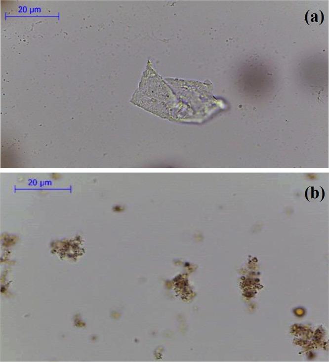 https://cdn.ncbi.nlm.nih.gov/pmc/blobs/d86f/7594003/17f0e5914649/ao0c02710_0003.jpg