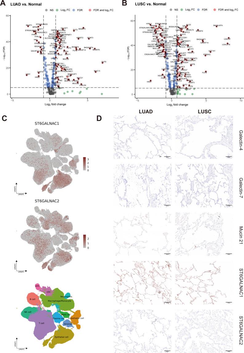 https://cdn.ncbi.nlm.nih.gov/pmc/blobs/d874/12290921/d99df723121f/fonc-15-1601368-g004.jpg