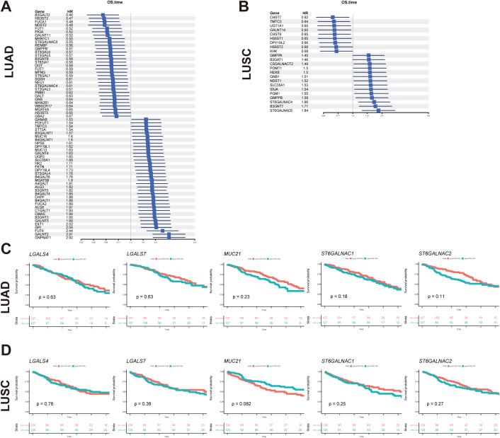 https://cdn.ncbi.nlm.nih.gov/pmc/blobs/d874/12290921/e5e13d70518a/fonc-15-1601368-g007.jpg