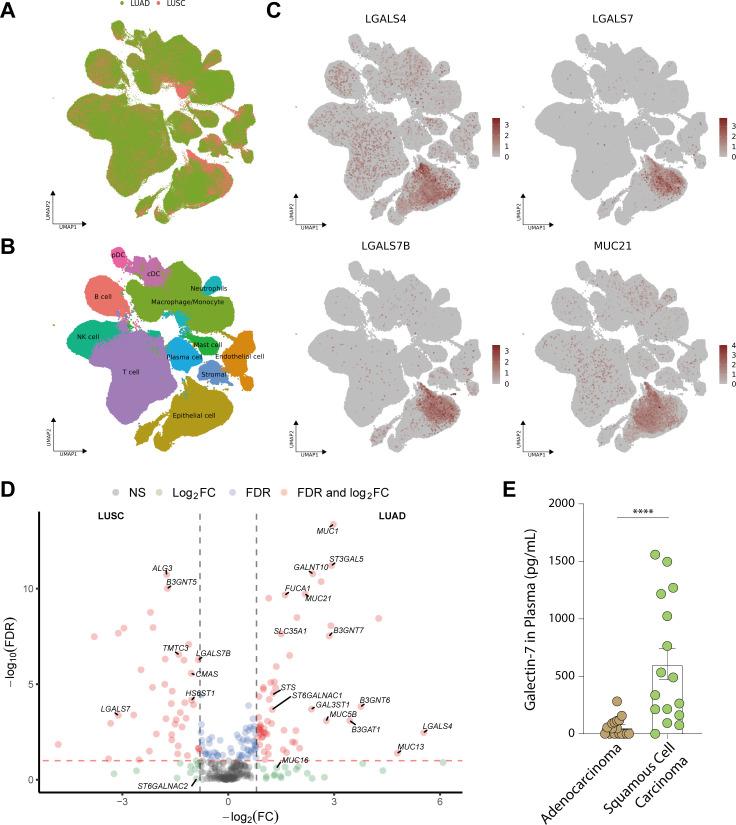 https://cdn.ncbi.nlm.nih.gov/pmc/blobs/d874/12290921/f1d886ce92af/fonc-15-1601368-g006.jpg