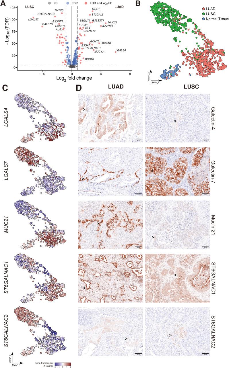 https://cdn.ncbi.nlm.nih.gov/pmc/blobs/d874/12290921/fca1f06550d3/fonc-15-1601368-g003.jpg