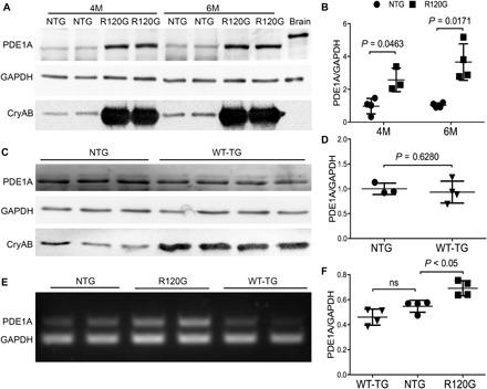 https://cdn.ncbi.nlm.nih.gov/pmc/blobs/d874/6531002/5c55f358626c/aaw5870-F1.jpg