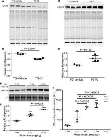 https://cdn.ncbi.nlm.nih.gov/pmc/blobs/d874/6531002/cebf94461ef5/aaw5870-F4.jpg
