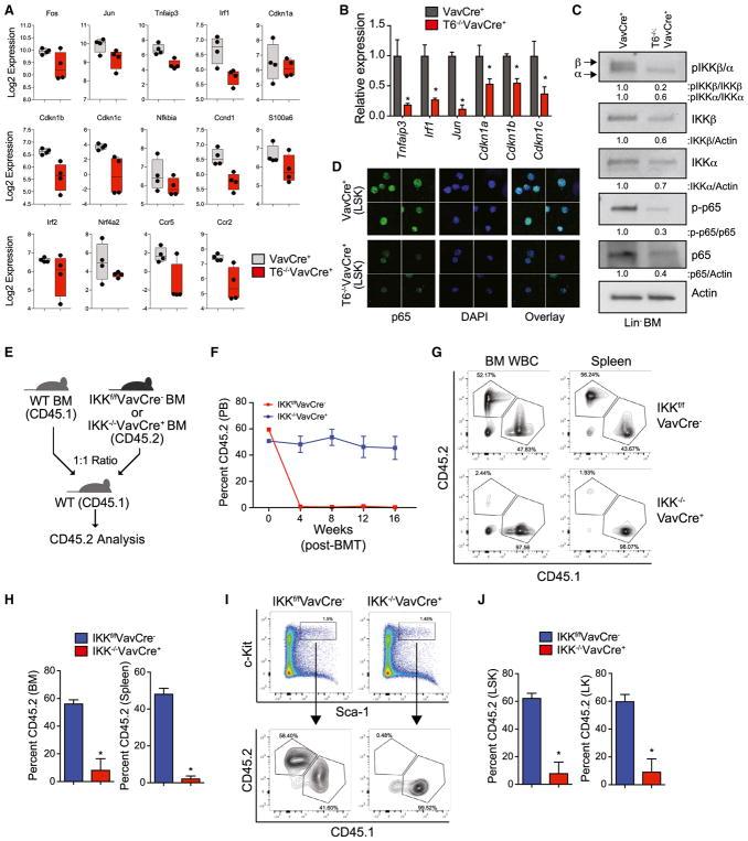https://cdn.ncbi.nlm.nih.gov/pmc/blobs/d875/5971064/e115fbaebb6d/nihms966903f6.jpg