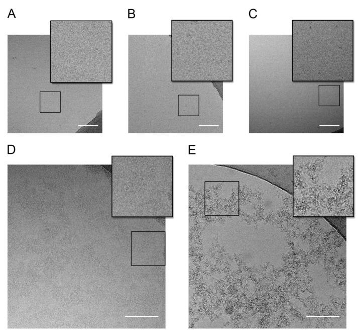 https://cdn.ncbi.nlm.nih.gov/pmc/blobs/d875/8199549/493c383f177f/ijms-22-06000-g006.jpg