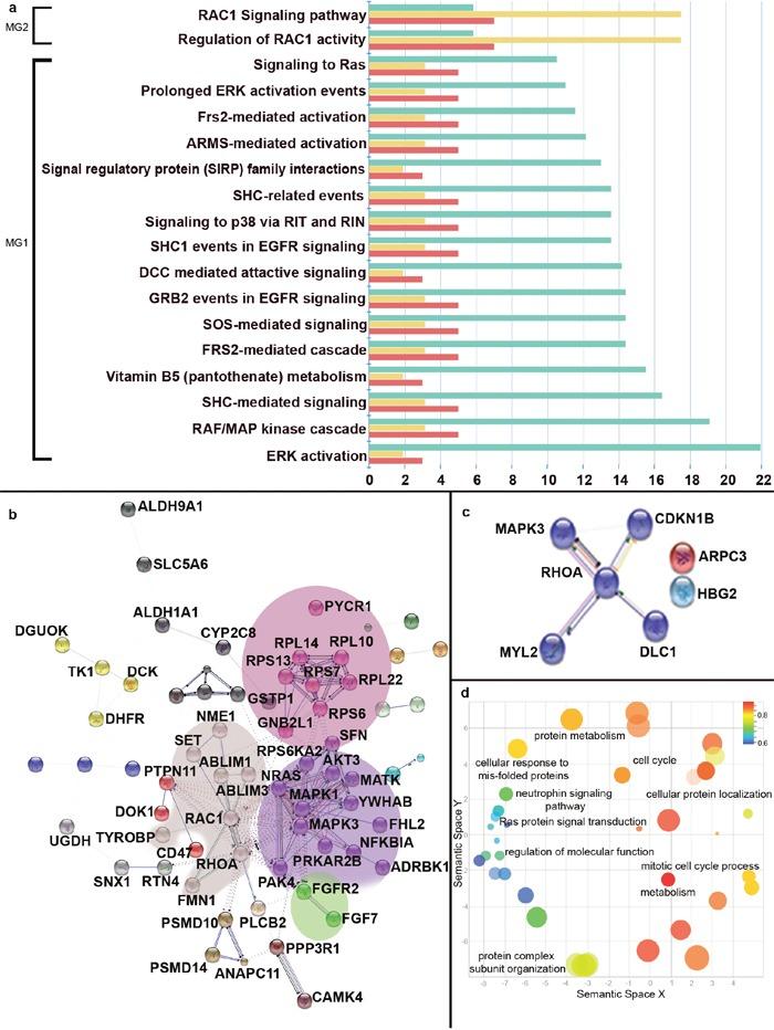 https://cdn.ncbi.nlm.nih.gov/pmc/blobs/d876/5601665/fc45a60107bd/oncotarget-08-58443-g003.jpg