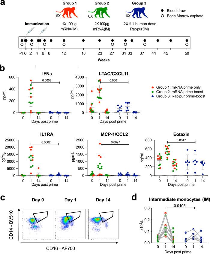 https://cdn.ncbi.nlm.nih.gov/pmc/blobs/d877/10287699/3593a05bff11/41467_2023_39421_Fig1_HTML.jpg