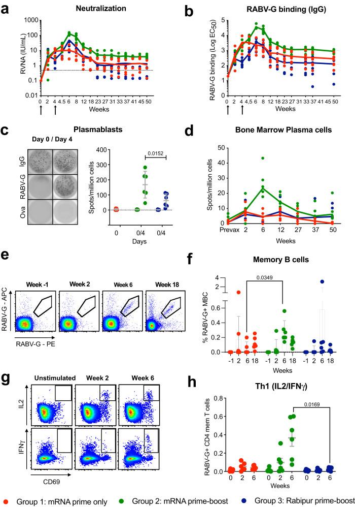 https://cdn.ncbi.nlm.nih.gov/pmc/blobs/d877/10287699/eb6dbe187ac1/41467_2023_39421_Fig2_HTML.jpg