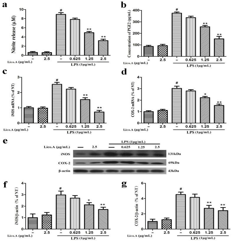 https://cdn.ncbi.nlm.nih.gov/pmc/blobs/d877/5666725/6b8add9e39f4/ijms-18-02043-g001.jpg