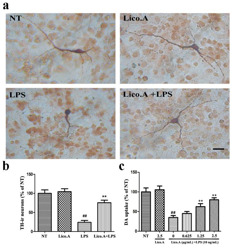 https://cdn.ncbi.nlm.nih.gov/pmc/blobs/d877/5666725/ce11adb9eb28/ijms-18-02043-g004.jpg