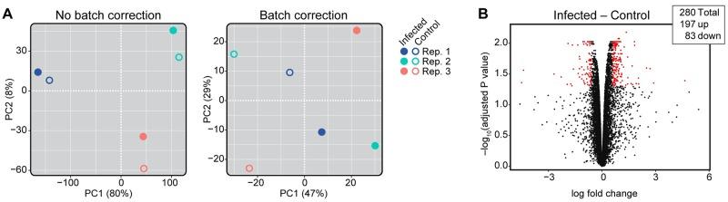 https://cdn.ncbi.nlm.nih.gov/pmc/blobs/d877/6687205/3b5832f6f6f9/pntd.0007570.g009.jpg