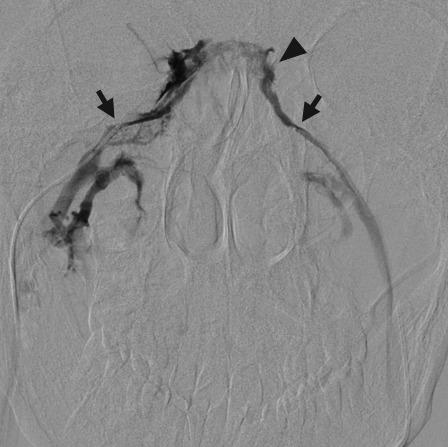 https://cdn.ncbi.nlm.nih.gov/pmc/blobs/d878/5977153/a851a014932c/jcm-07-00114-g004.jpg