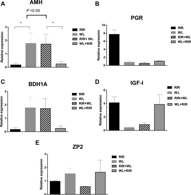https://cdn.ncbi.nlm.nih.gov/pmc/blobs/d87b/7704758/e8f4b3a5a428/gr3.jpg