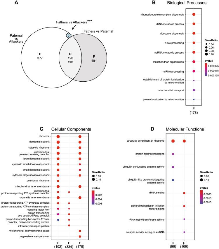 https://cdn.ncbi.nlm.nih.gov/pmc/blobs/d87c/9526941/209570249cca/12864_2022_8912_Fig5_HTML.jpg