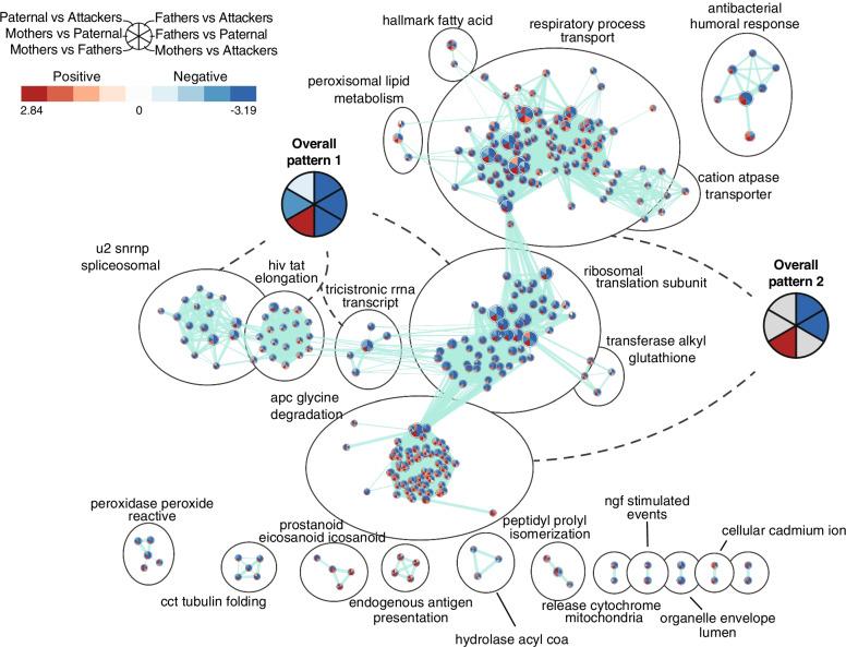 https://cdn.ncbi.nlm.nih.gov/pmc/blobs/d87c/9526941/a8a2b9bf7906/12864_2022_8912_Fig7_HTML.jpg