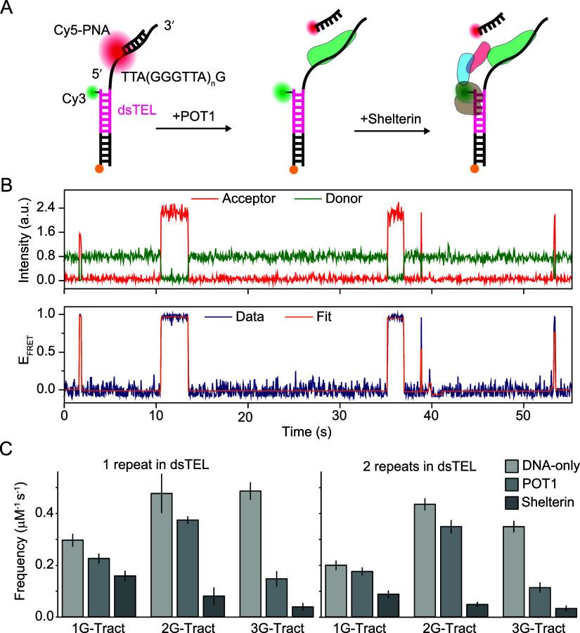 https://cdn.ncbi.nlm.nih.gov/pmc/blobs/d87e/11404488/56b106b6c742/ja4c08649_0003.jpg