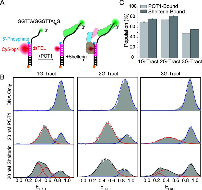https://cdn.ncbi.nlm.nih.gov/pmc/blobs/d87e/11404488/65ecfa98808f/ja4c08649_0005.jpg