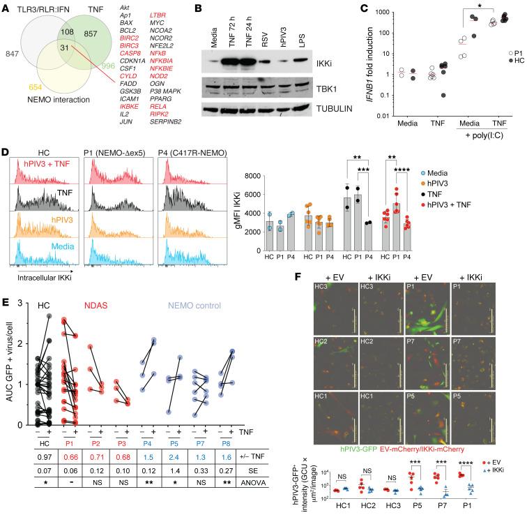 https://cdn.ncbi.nlm.nih.gov/pmc/blobs/d87e/8920334/7e4614ed955b/jci-132-128808-g146.jpg