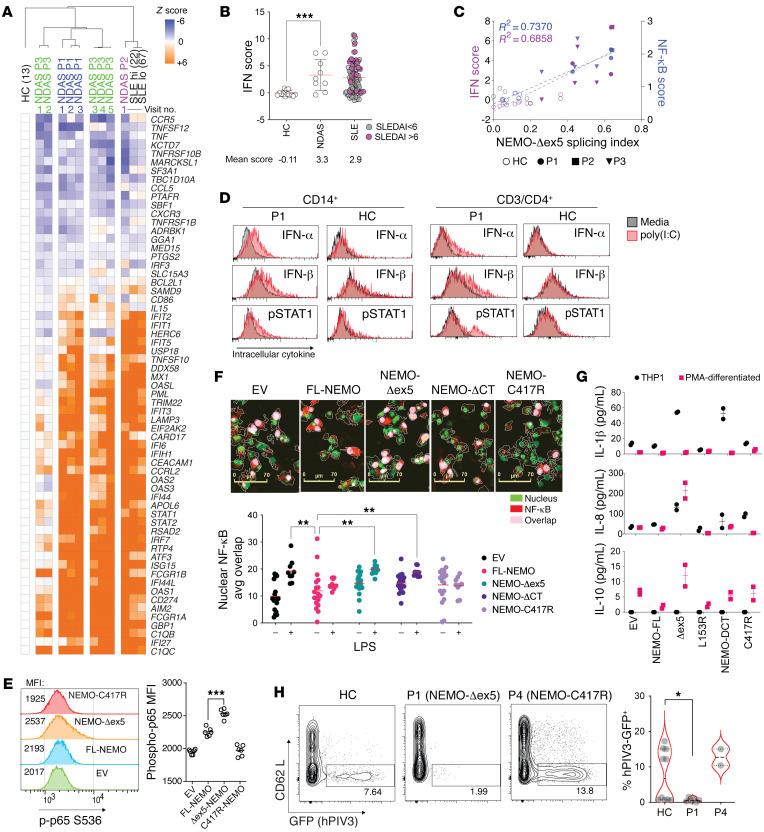 https://cdn.ncbi.nlm.nih.gov/pmc/blobs/d87e/8920334/dbf9a65f92a1/jci-132-128808-g144.jpg
