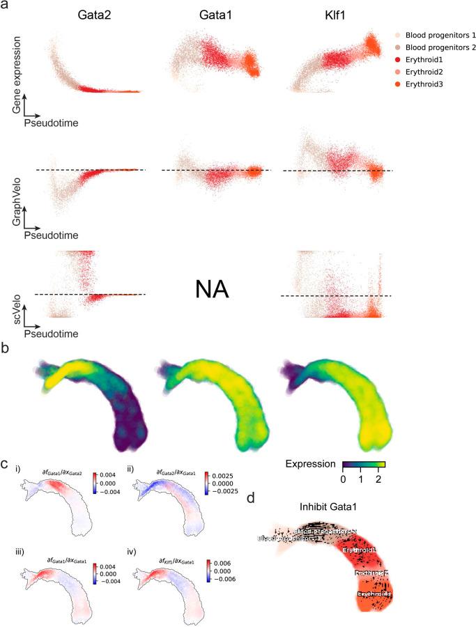 https://cdn.ncbi.nlm.nih.gov/pmc/blobs/d87f/11774466/018ee8a7e083/nihpp-rs5613372v1-f0009.jpg