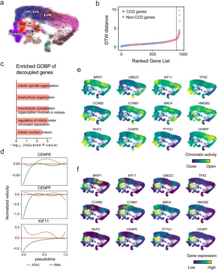 https://cdn.ncbi.nlm.nih.gov/pmc/blobs/d87f/11774466/0e39ba822631/nihpp-rs5613372v1-f0016.jpg