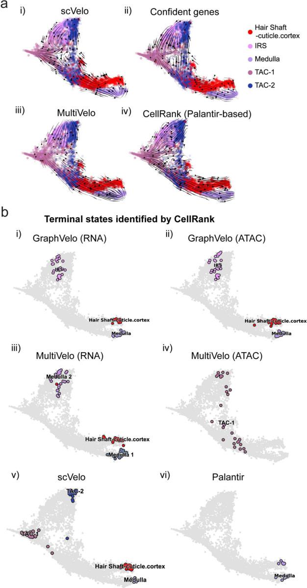 https://cdn.ncbi.nlm.nih.gov/pmc/blobs/d87f/11774466/68d61e3ccbc6/nihpp-rs5613372v1-f0013.jpg