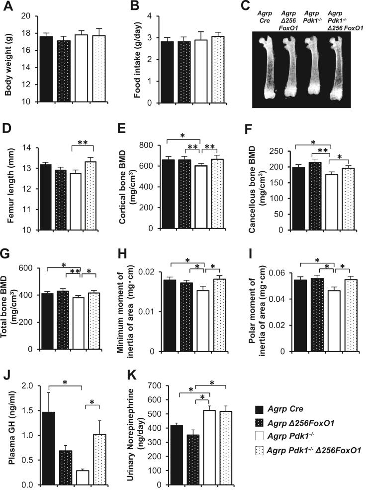 https://cdn.ncbi.nlm.nih.gov/pmc/blobs/d880/5404105/743e3711681c/gr7.jpg