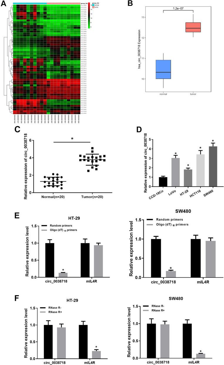 https://cdn.ncbi.nlm.nih.gov/pmc/blobs/d885/8555003/214108950467/12864_2021_7880_Fig1_HTML.jpg