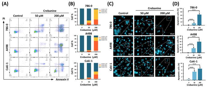 https://cdn.ncbi.nlm.nih.gov/pmc/blobs/d887/12295564/4c56377550be/ijms-26-06896-g002.jpg
