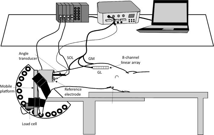 https://cdn.ncbi.nlm.nih.gov/pmc/blobs/d888/8144166/0b0491185e13/421_2021_4654_Fig1_HTML.jpg
