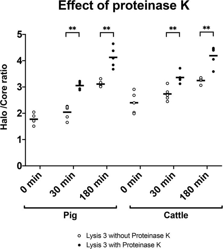 https://cdn.ncbi.nlm.nih.gov/pmc/blobs/d889/8120241/c62027bb4e3c/fcell-09-669182-g004.jpg