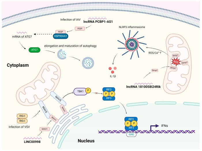 https://cdn.ncbi.nlm.nih.gov/pmc/blobs/d88c/12026789/161ee8a2c657/ijms-26-03651-g002.jpg