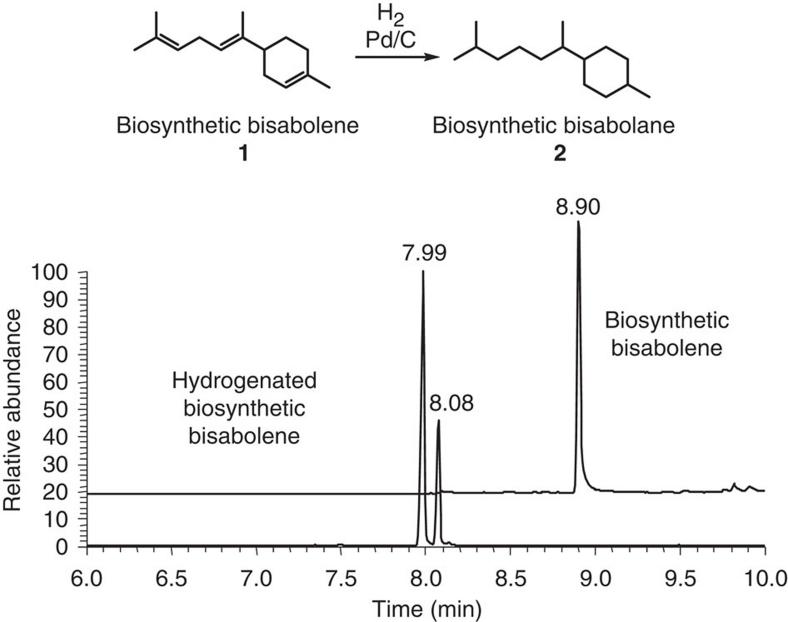 https://cdn.ncbi.nlm.nih.gov/pmc/blobs/d88c/3195254/70f6339c3e0e/ncomms1494-f8.jpg