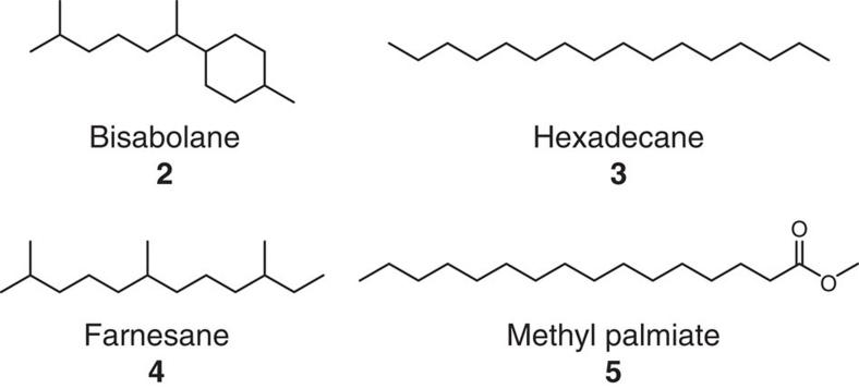 https://cdn.ncbi.nlm.nih.gov/pmc/blobs/d88c/3195254/e4be704702f1/ncomms1494-f2.jpg