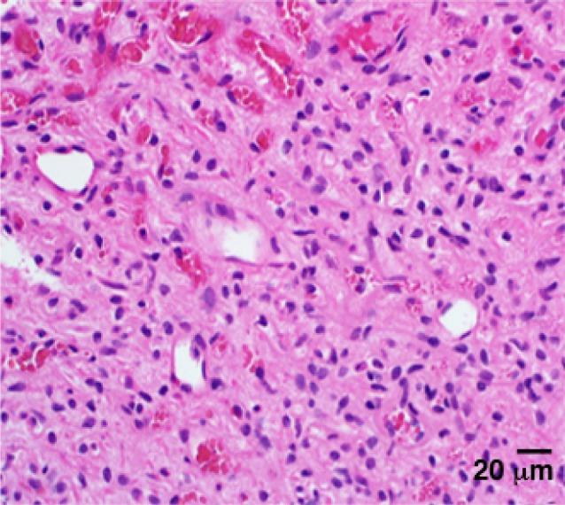 https://cdn.ncbi.nlm.nih.gov/pmc/blobs/d88d/4205258/ce3401395238/jcen-16-293-g003.jpg