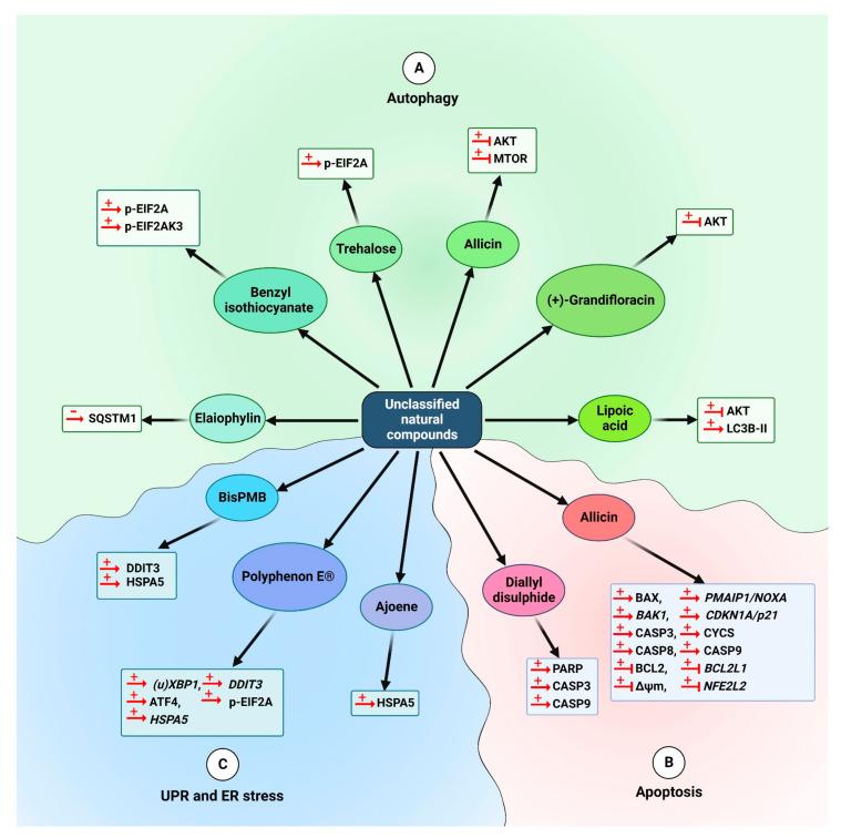https://cdn.ncbi.nlm.nih.gov/pmc/blobs/d88e/9738256/7968e3260ebb/cancers-14-05839-g014.jpg