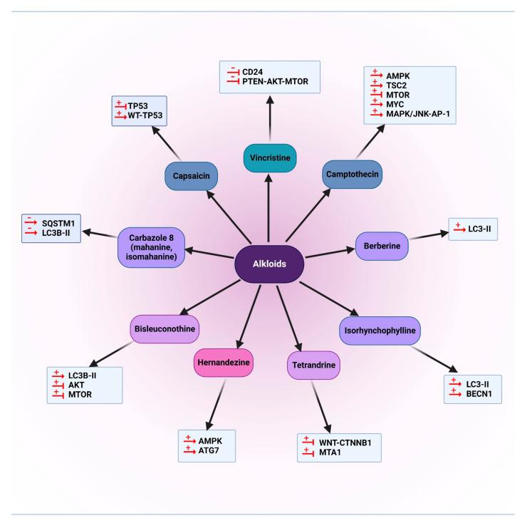 https://cdn.ncbi.nlm.nih.gov/pmc/blobs/d88e/9738256/9e9b88c6010f/cancers-14-05839-g007.jpg