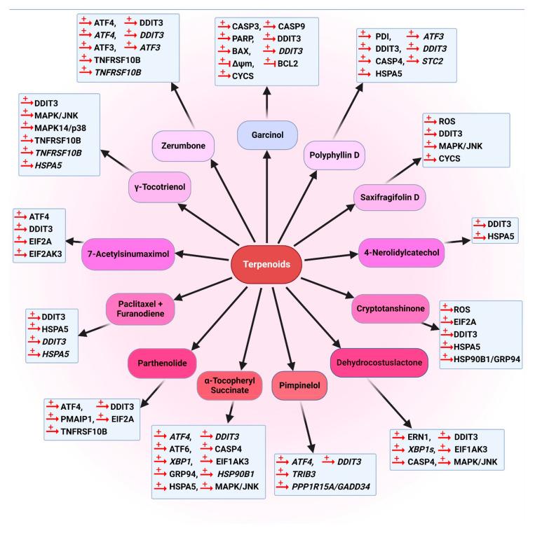 https://cdn.ncbi.nlm.nih.gov/pmc/blobs/d88e/9738256/9f6ec21076a4/cancers-14-05839-g020.jpg