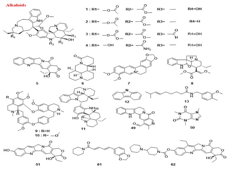 https://cdn.ncbi.nlm.nih.gov/pmc/blobs/d88e/9738256/e20490186a01/cancers-14-05839-g006.jpg