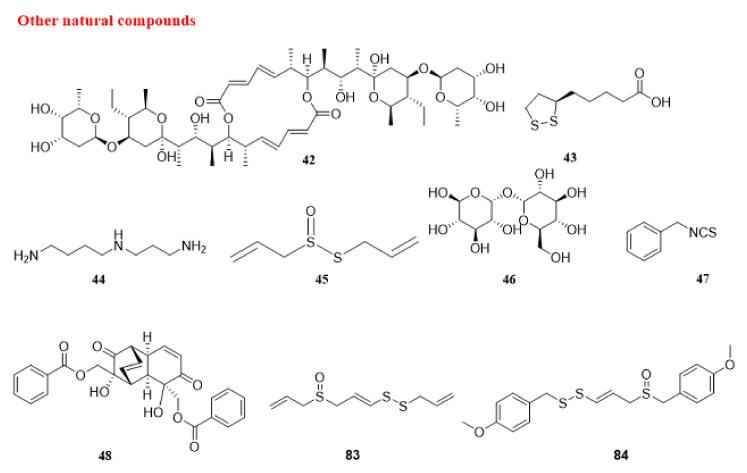 https://cdn.ncbi.nlm.nih.gov/pmc/blobs/d88e/9738256/e539cb210fb5/cancers-14-05839-g013.jpg