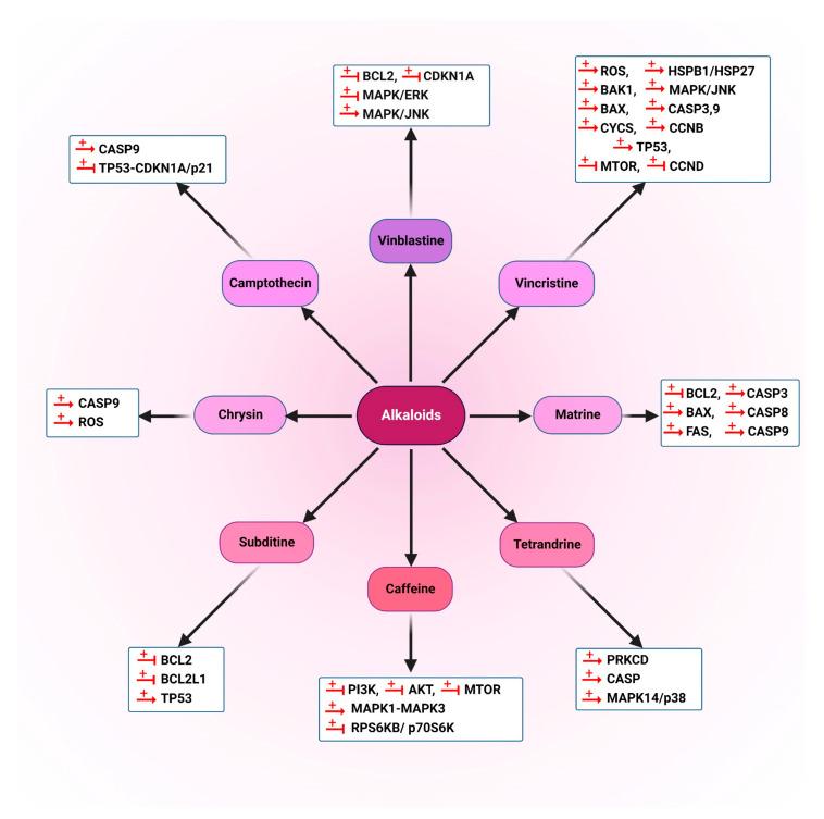 https://cdn.ncbi.nlm.nih.gov/pmc/blobs/d88e/9738256/edb0fc85356a/cancers-14-05839-g015.jpg
