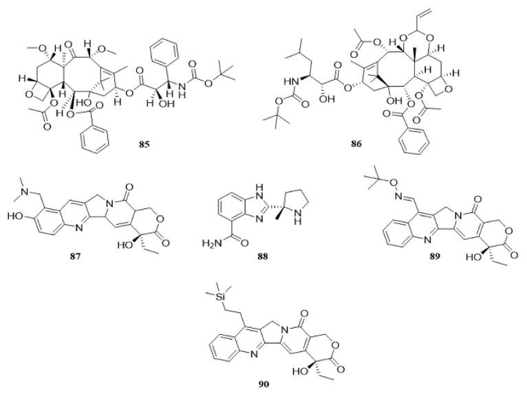 https://cdn.ncbi.nlm.nih.gov/pmc/blobs/d88e/9738256/f7b8807af71c/cancers-14-05839-g021.jpg