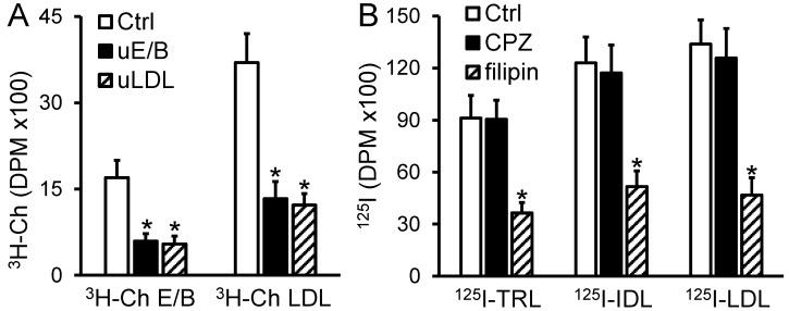 https://cdn.ncbi.nlm.nih.gov/pmc/blobs/d892/6274886/0e6f589ccbbe/ijms-19-03593-g001.jpg