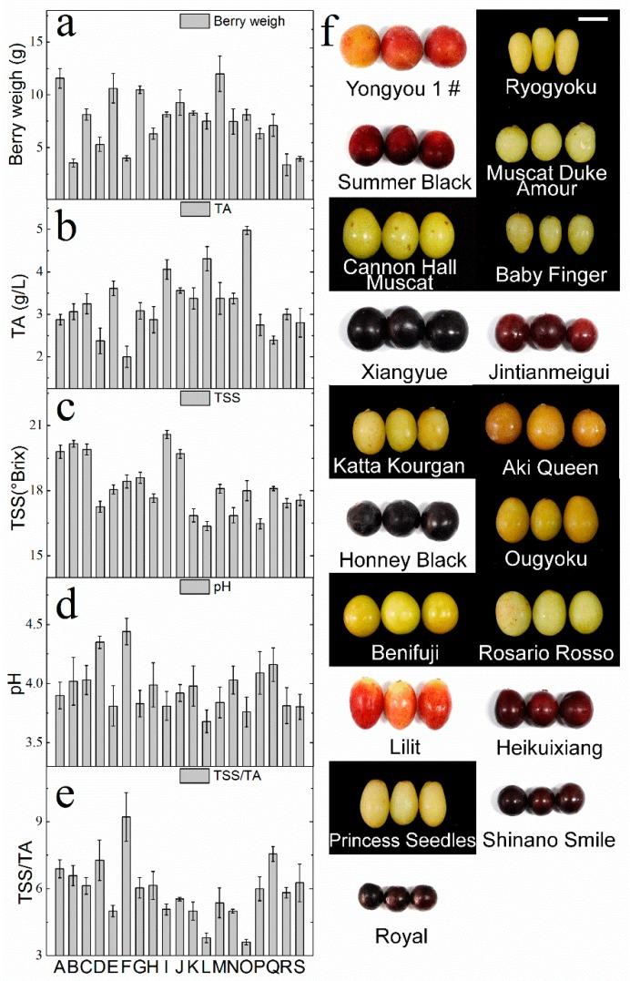 https://cdn.ncbi.nlm.nih.gov/pmc/blobs/d893/6100037/364cbccd2eff/molecules-23-01703-g001.jpg
