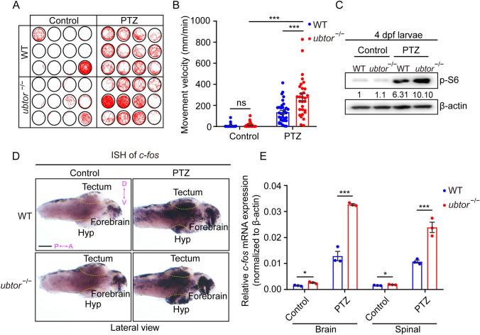 https://cdn.ncbi.nlm.nih.gov/pmc/blobs/d893/8643380/32097d1de14e/12264_2021_755_Fig6_HTML.jpg