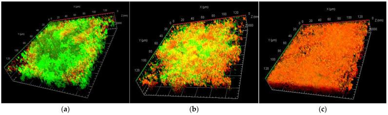 https://cdn.ncbi.nlm.nih.gov/pmc/blobs/d895/10815608/613557756d10/gels-10-00023-g003.jpg