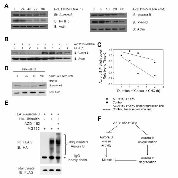 https://cdn.ncbi.nlm.nih.gov/pmc/blobs/d89c/2839967/172d09da149f/1476-4598-9-42-6.jpg
