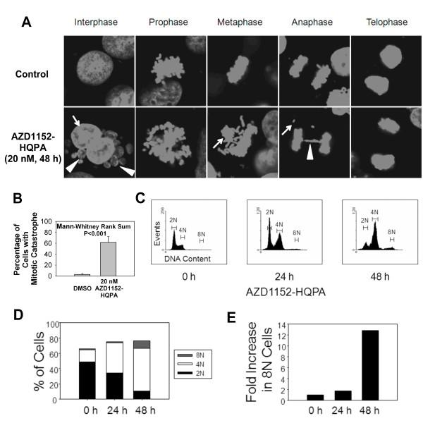 https://cdn.ncbi.nlm.nih.gov/pmc/blobs/d89c/2839967/d216372ab335/1476-4598-9-42-2.jpg