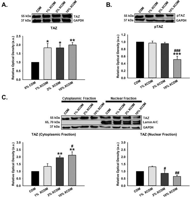 https://cdn.ncbi.nlm.nih.gov/pmc/blobs/d89f/7452853/0aec1e1709f2/iovs-61-10-41-f006.jpg